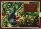 New Zealand KMS 1995 M&uuml;nzensatz der Bank of New Zealand, der dem Tui-Vog... 50,00 EUR  + 10,00 EUR frais d'envoi
