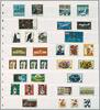 Safe Einsteckblätter Grau mit 8 geteilten Streifen Nr. 1192 (5er Pack) Neu -