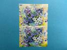Russland Russland Folienblatt MiNr. 2708-2711 Flora - Glockenblumen 2019 postfrisch MiNr. 2708-2711 Flora - Glockenblumen 2019 Folienblatt -