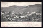 AK Aspang, Nieder-Österreich 1902 Panorama -