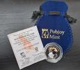 50 PENCE FALKLAND ISLANDS COLORED UNC COIN YEAR MACARONI PENGUIN +COA POUCH -