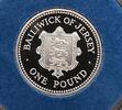 1 POUND JERSEY - RARE SILVER PROOF COIN YEAR KM#87a SHIELD -