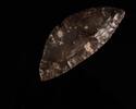   Neolithische Sichel aus Silex  270,00 EUR  + 19,00 EUR frais d'envoi