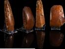   Pr&auml;historische Steinbeile  250,00 EUR  + 19,00 EUR frais d'envoi