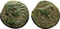 Roman Empire As AUGUSTUS AE As. VF+. Bull. -