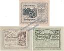Notgeld AT 3 Scheine kpl. Hallstadt , Notgeld Set mit 3 Scheinen in kfr. K-K 345.a , Oberösterreich 1920 -