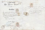 Italy Lombardy Venice kingdom signature of Chief Rabbi Isacco Pardo Jewish Manuscript -