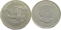Canada 5 Dollars Bald Eagle - Elizabeth II - Silver -