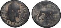 ISRAEL,  SELEUCIS and PIERIA, Laodicea ad Mare. Macrinus.  154,60 EUR envoi gratuit
