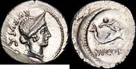 Rome Denario 50-49 a.C. REPÚBLICA EBC- 190,00 EUR  + 15,00 EUR frais d'envoi