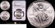 M&eacute;xico 1 Onza 1988 ENCAPSULADO Encapsulada por NGC como MS66 275,00 EUR  + 15,00 EUR frais d'envoi