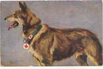 Deutsches Reich,Kaiserreich, Ansichtskarte Rote Kreuz -