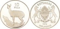 Botswana 10 Pula Klippspringer -