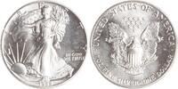 USA 1 Dollar 1989 American Eagle. Stempelglanz 45,00 EUR  + 10,00 EUR frais d'envoi