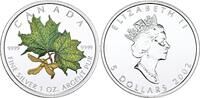 Kanada 5 Dollars Maple Leaf in Farbe. -