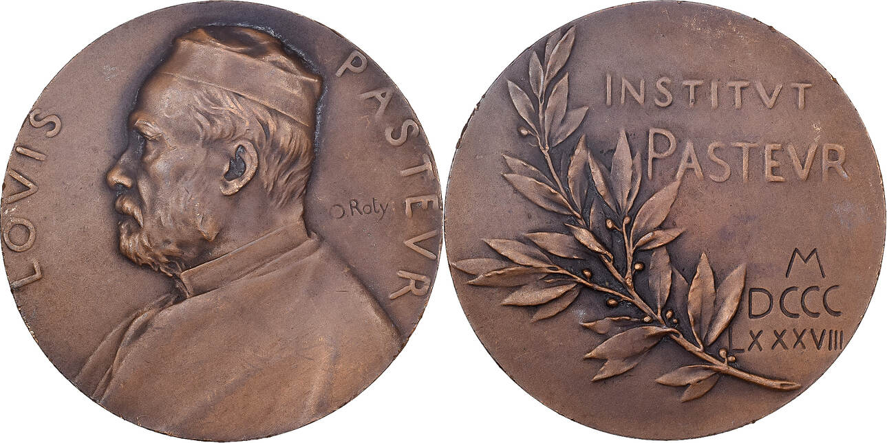 Médaille Commémorative Louis Pasteur En Bronze De 1888 - 36 Mm, Gravée Par Roty, Villeneuve Paris