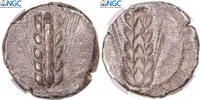 Statère Monnaie, Lucanie, Metapontion, Gradée, NGC, Ch VF -