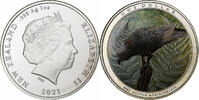 Nouvelle-Zélande 1 Dollar, 1 Oz Kaka Forest Bird, proof 1 Oz coloré -