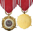 Pologne Médaille Forces Armées au Service de la Patrie, 20 Ans, Military -