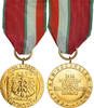 Pologne Médaille Maintien de la Paix, WAR, Non circulé, Gilt -