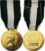 France Médaille Médaille d'honneur communale, régionale et départementale -