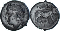 Æ Monnaie, Campania, Neapolis, Bronze, SNG-Cop:505 -