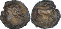 Æ Monnaie, Campania, Neapolis, Bronze, HGC:1-482 -