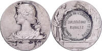 France Medaille Comice Agricole de l'Arrondissement de Cosne, Argent -