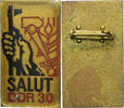 Allemagne Broche Salut, DDR 30, Laiton -