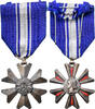France Medaille Mérite du sang, Excellent Quality, Bronze argenté, 39 -