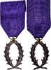 France Médaille Ordre des Palmes Académiques, Excellent Quality, Bronze -