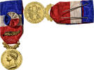 France Médaille Honneur-Travail, République Française, Palme -