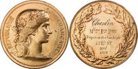 France Medaille Instruction Public, Cours d'Adulte, Bronze -