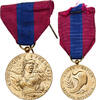 France Medaille Défense Nationale, Armée Nation, Très bon état, Bronze -