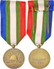 France Médaille Union Nationale des Combattants, Medal, Excellent Quality, Bronze, 26 -