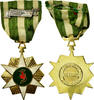 Viet Nam Médaille Campagne, Chien-Dich Boi-Tinh, Excellent Quality -