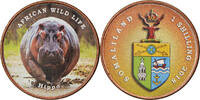 Somaliland Shilling Monnaie, Faune africaine - Hippopotame -