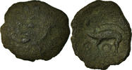 Bronze Æ Monnaie, Aulerques Éburovices, Bronze -