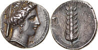 Nomos Lucanie, v. 340-330 av. J.-C., Métaponte, Argent, NGC -