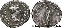 LES SÉVÈRES (193 après J.C. à 235 après J.C.) Denier GÉTA Rome 207 (18mm, 3,11g, 6h) -