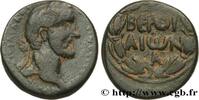 LES ANTONINS (96 après J.C. à 192 après J.C.) Unité ANTONIN LE PIEUX Beroea, Syrie, Cyrrhestica c. 138-161 (22,5mm, 9,02g, 12h) -