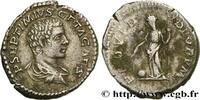 LES SÉVÈRES (193 après J.C. à 235 après J.C.) Denier GÉTA Rome 206 (19mm, 3,43g, 6h) -