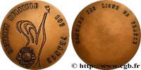 FRANCE Médaille, Hommage des lions de France CLUBS PHILANTHROPIQUES : LIONS CLUB, ROTARY, ETC. n.d. (67,5mm, 159,67g, 12h) -