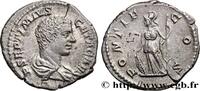 LES SÉVÈRES (193 après J.C. à 235 après J.C.) Denier GÉTA Rome 207 (18mm, 3,44g, 6h) -