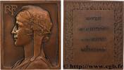 FRANCE Plaquette, Offerte par le ministre de la Marine Ma MINISTÈRES n.d. (63,5mm, 100,33g, 12h) -