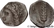 Classique 3 (350 à 323 avant J.C.) Nomos, statère ou didrachme LUCANIE - MÉTAPONTE Métaponte, Lucanie c. 300-280 AC. (20,5mm, 6,93g, 11h) -