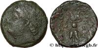Hellénistique 1 (323 à 188 avant J.C.) Unité SICILE - SYRACUSE Syracuse, Sicile c. 215-214 AC. (21,5mm, 8,99g, 7h) -