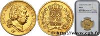 FRANCE 40 francs or Louis XVIII LOUIS XVIII Paris 1818 (26mm, 12,82g, 6h) -