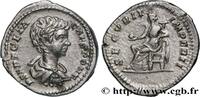 LES SÉVÈRES (193 après J.C. à 235 après J.C.) Denier GÉTA Rome 202 (19,5mm, 3,22g, 6h) -