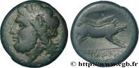 Hellénistique 1 (323 à 188 avant J.C.) Unité APULIE - ARPI Arpi, Apulie c. 325-275 AC. (21,5mm, 7,58g, 3h) -